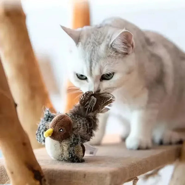 Chirpy Melody Feather Cat Toy